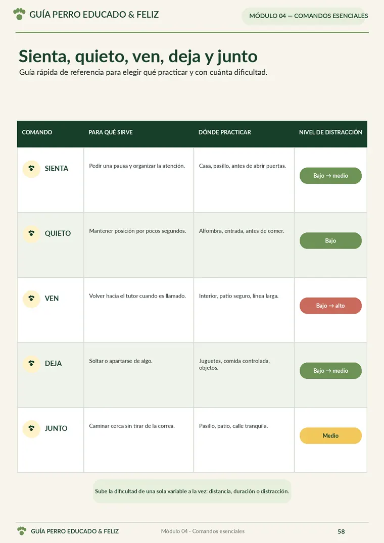 Guía rápida de comandos esenciales